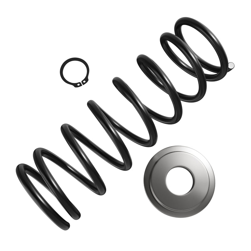 BT65245KIT Spring Cap Snap Ring Kit for BT Prime Mover