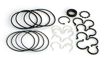 RA500444/211 Lift Pump Seal Kit For Raymond Electric Pallet Jack